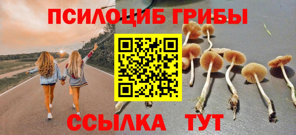 Псилоцибиновые грибы GOLDEN TEACHER  Вход с VPN  Псилоцибиновые грибы прущие грибы  Воткинск 
